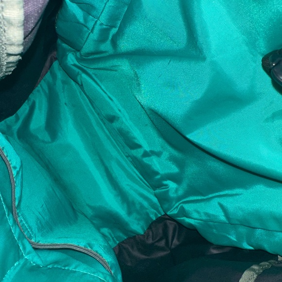 Women’s Purple Patagonia Backpack - Picture 5 of 16